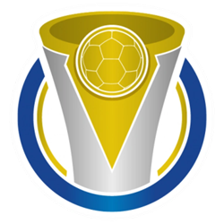 Campeonato Brasileiro - Série D